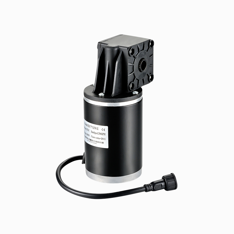 12V DC 200W 7712WZ brushed DC geared motor for golf bag cart