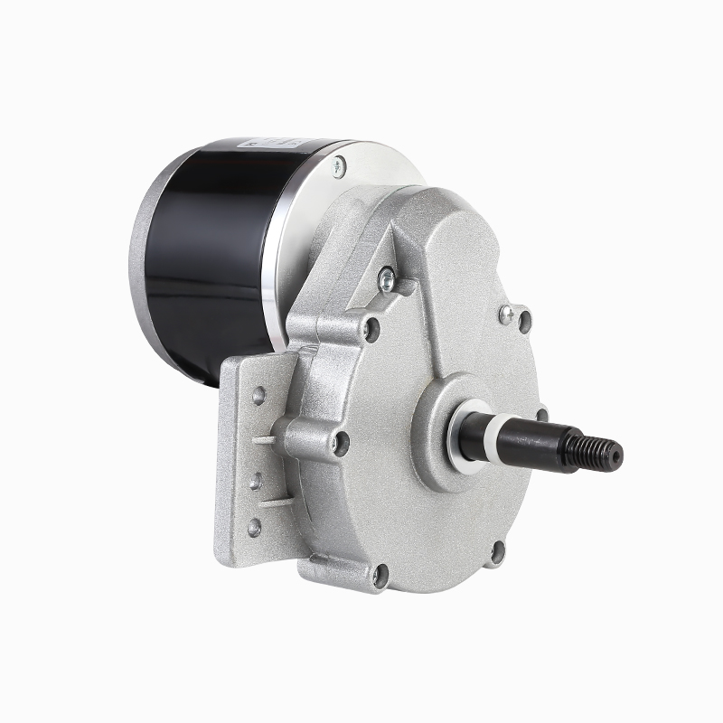 ZY1016L1 DC Brushed Gear Motor for Electric Wheelchair