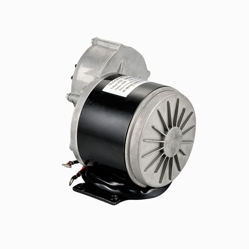 24V DC 350W 1016Z brushed DC geared motor