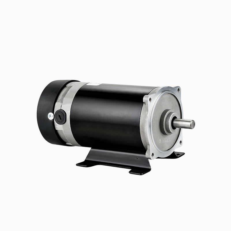 Norton 24V DC 300W 9016 permanent magnet DC brushed motor has strong heat resistance