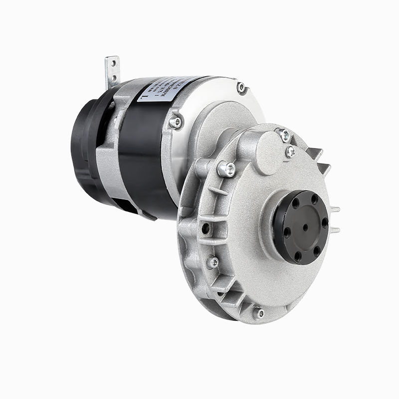 ZY9318L3-S High quality 24V DC 200W 9318 wheelchair brushed DC geared motor