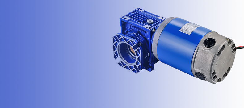 DC Brushed Reduction Motor