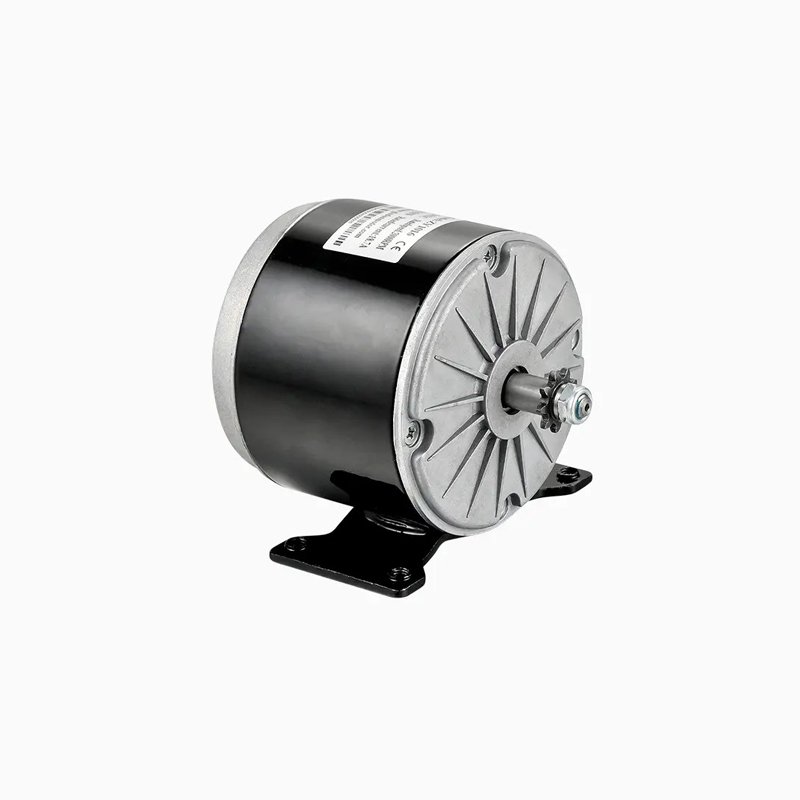 Norton 12V DC 300W 1016 Electric Vehicle Permanent Magnet DC Brush Motor