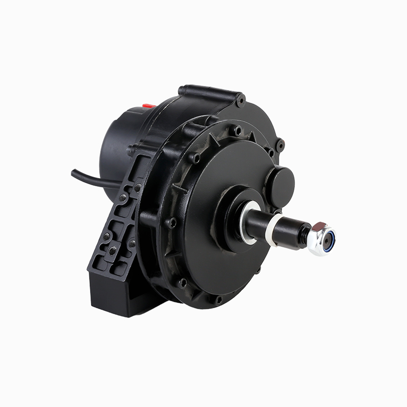 ZW1012L4Z-S Black threaded brushless gear motor for rear wheelchair electric