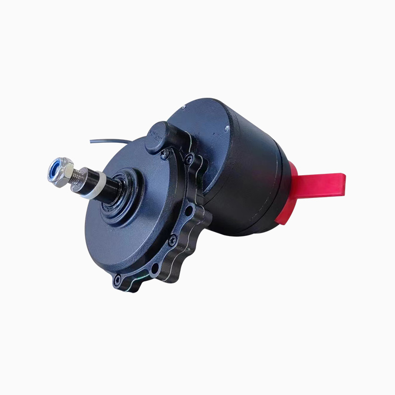 ZW9012L3A-S  Brushless wheelchair reduction motor reduced version